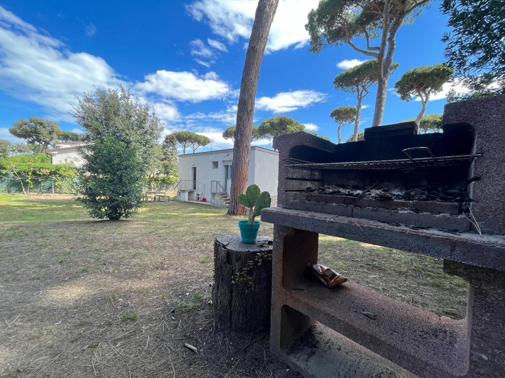 Pineta Apartament Tirrenia Buitenkant foto